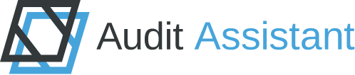 Audit Assistant