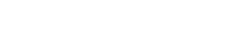 Audit Assistant
