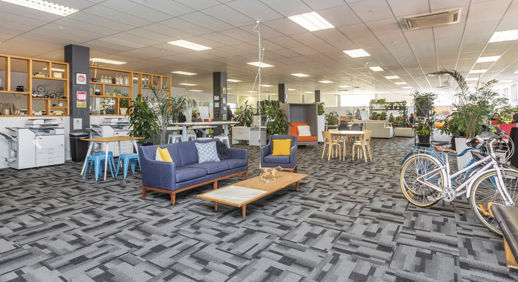 Audit Assistant office interior